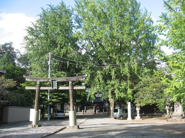 vljiko083208