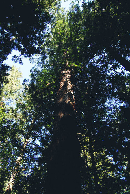 vlphoto017187