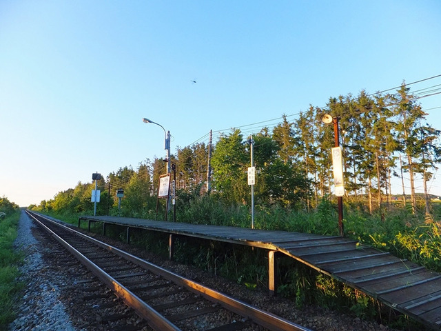 TK80d
