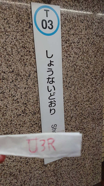 CGNQN3x