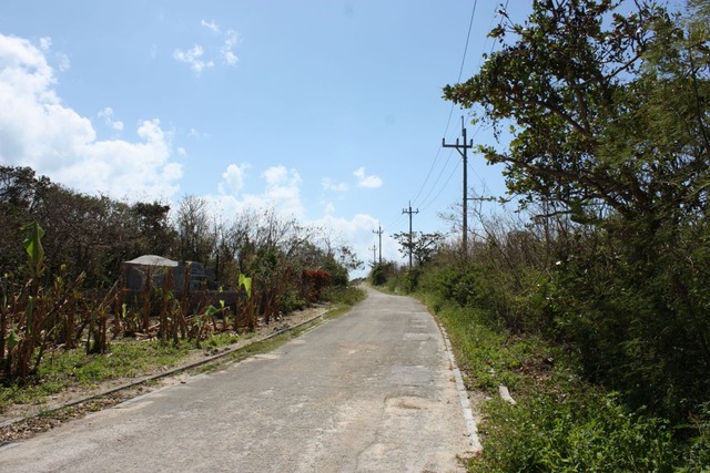 org3489829