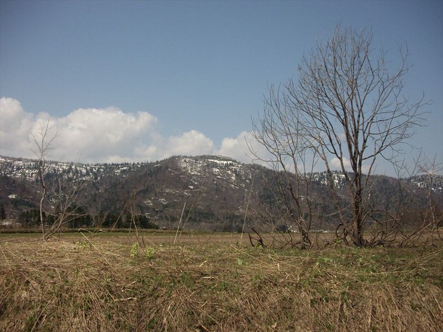 org3481303
