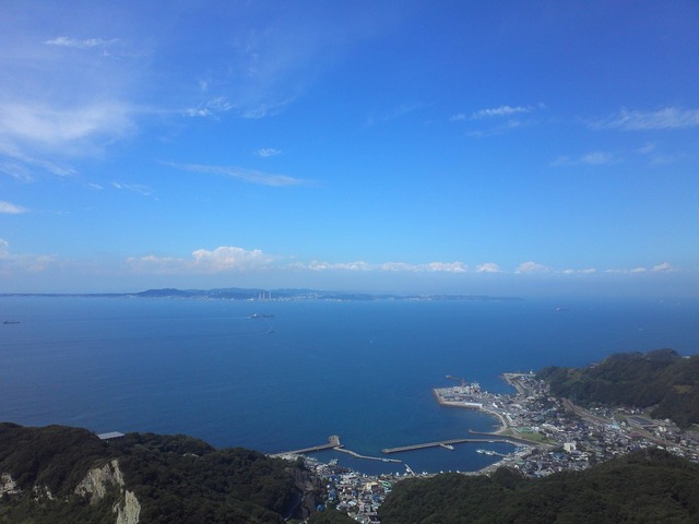 org3433838