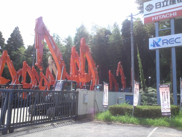 org3433126