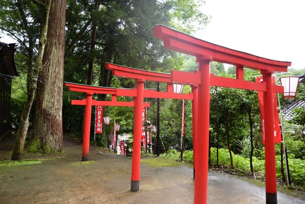 my22783xLGYtAuhkogQASEY