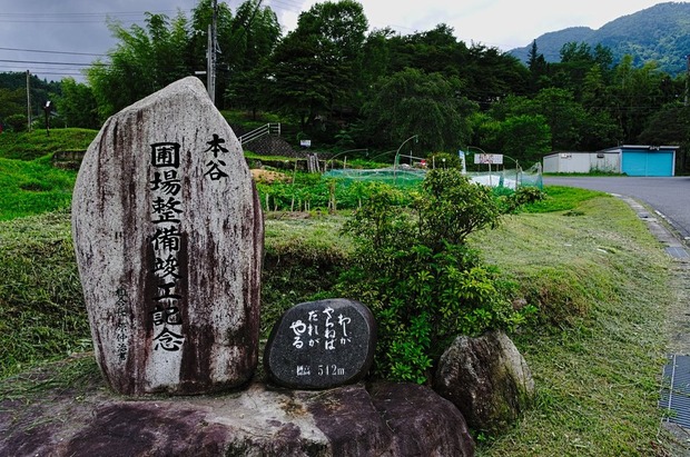 dOKZoU1
