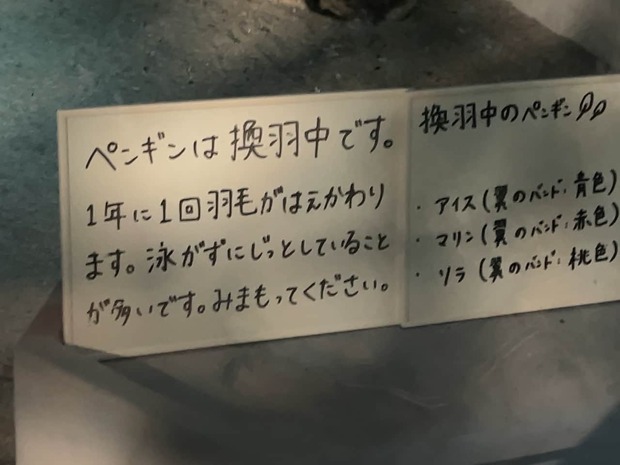 dj73YOy