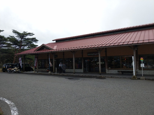 gJSAYaL