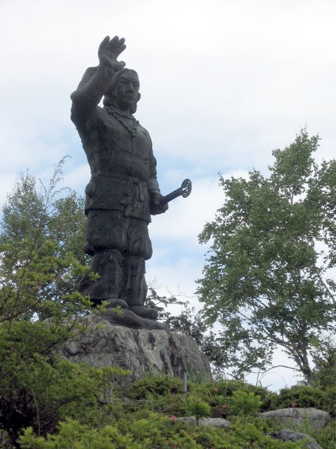 vljiko078279