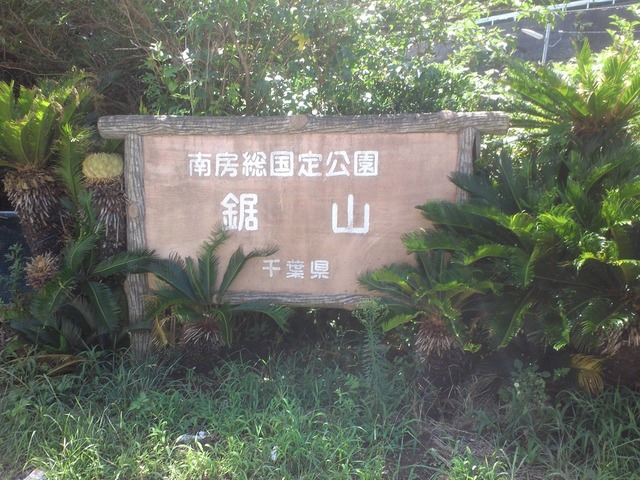 org3433810