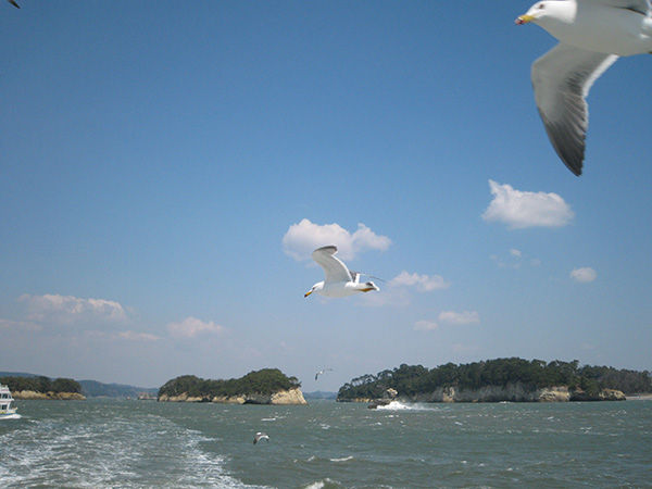 a4c8608e