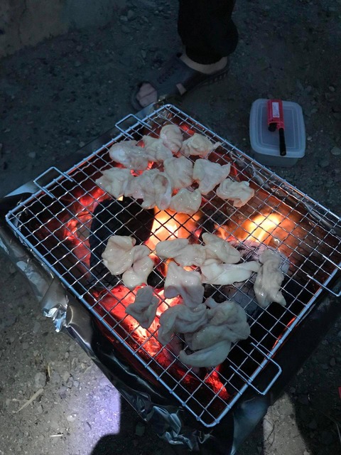 XonTUAP