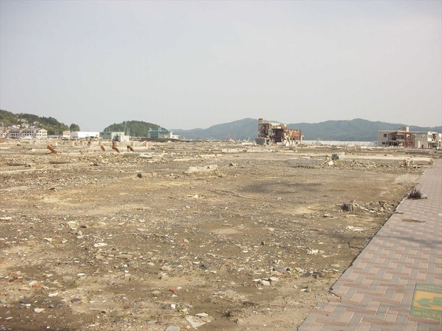org3481623
