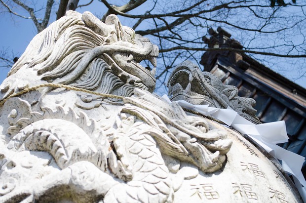 aANLFt3