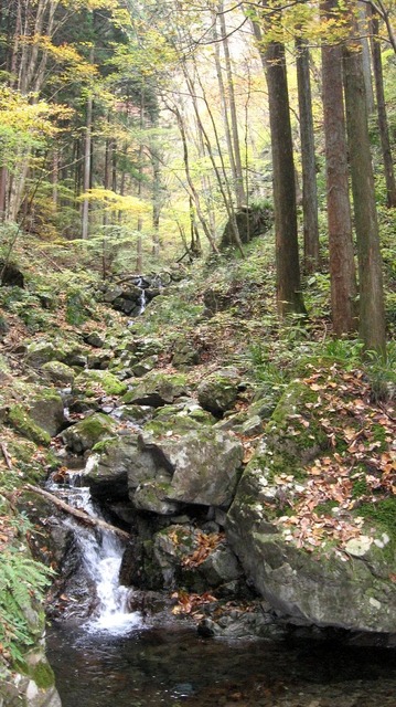 vljiko087541