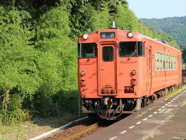 org4406502