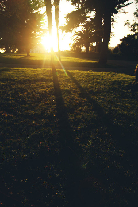 vlphoto017337
