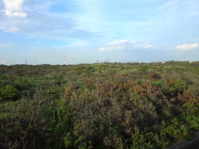 org3433963