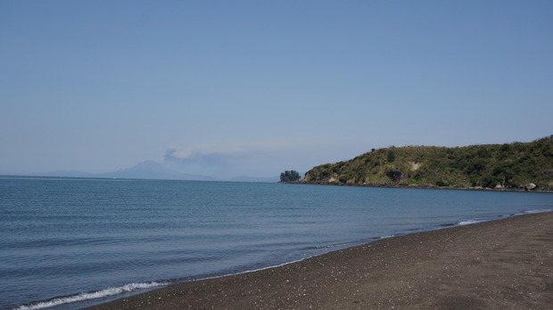 201201079960