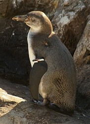 20120305k0000m040086000p_size5