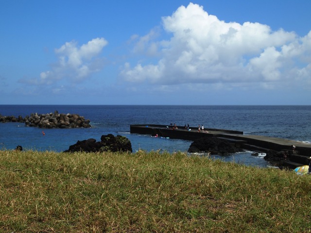 org3409688
