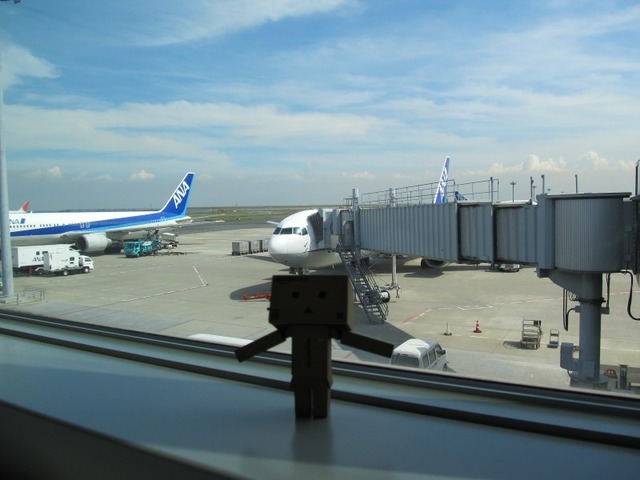 org3409494