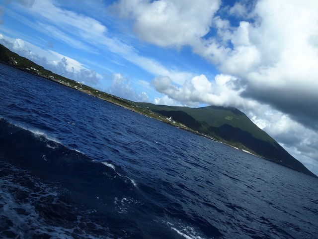 org3409639