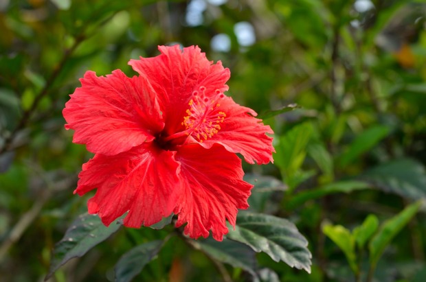 1335967883712