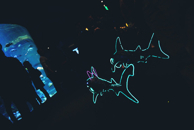 vlphoto017409