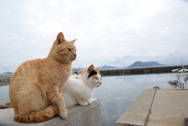 my98090zjmYtRFAcZ8T83Gk