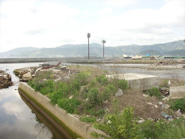 org3481590