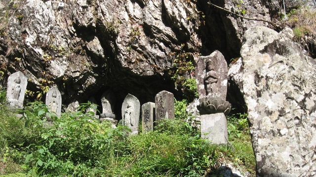 vljiko084716