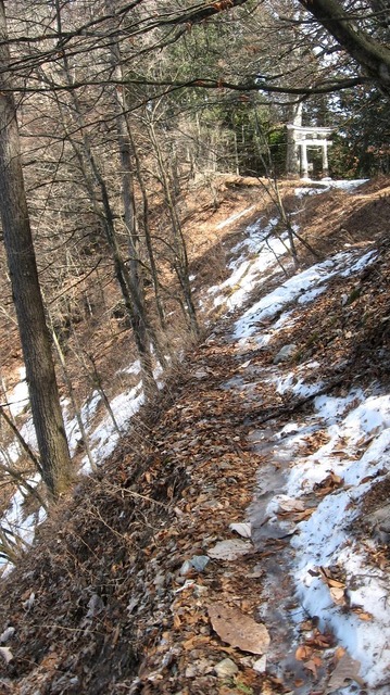 vljiko092184