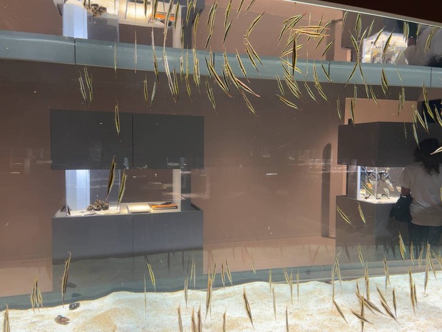 pwmmjzW