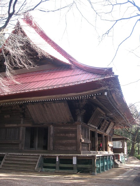 vljiko089226