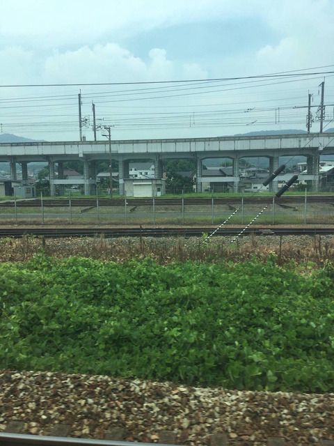 bCIZUmD