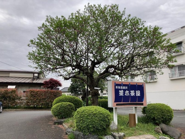st8hUi9