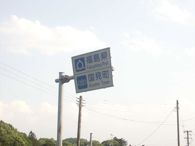 org3481631