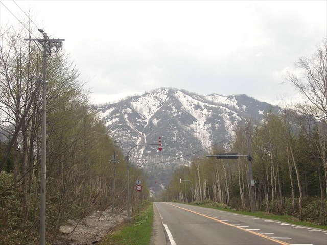 org3481309