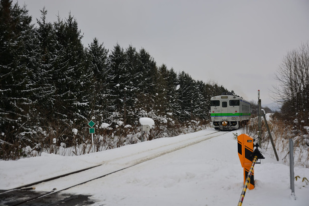 Ns8O33m