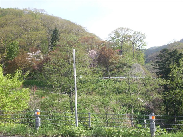 org3481457