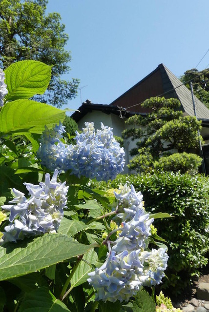 Xaq8ZEN