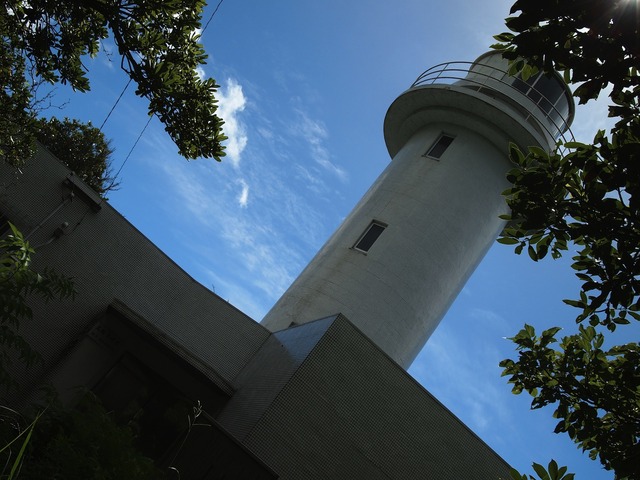 org3409717