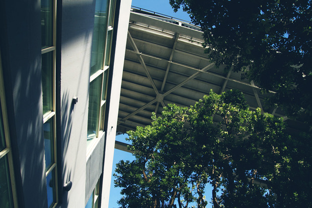 vlphoto017375