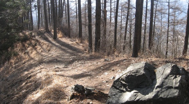 vljiko092166