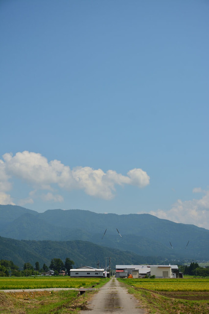 eSCrDBu