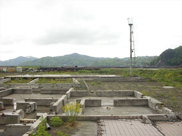 org3481578