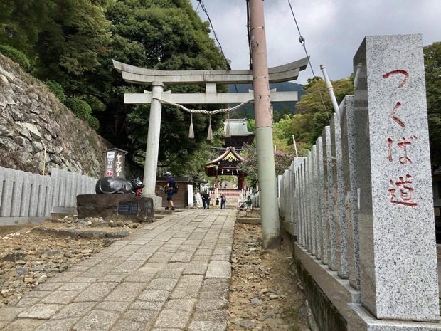 g9YkhGe