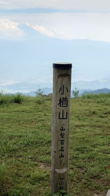 11f5b915qT