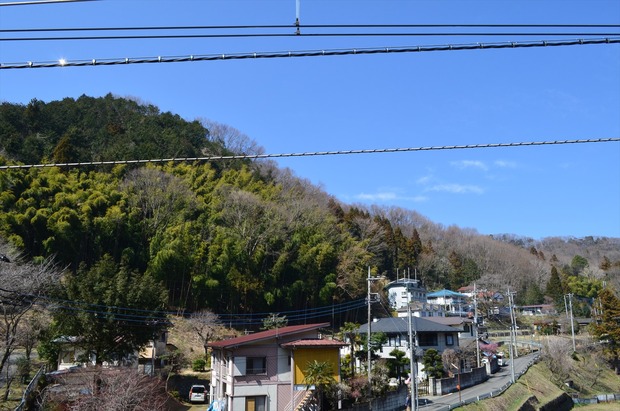 org4045040